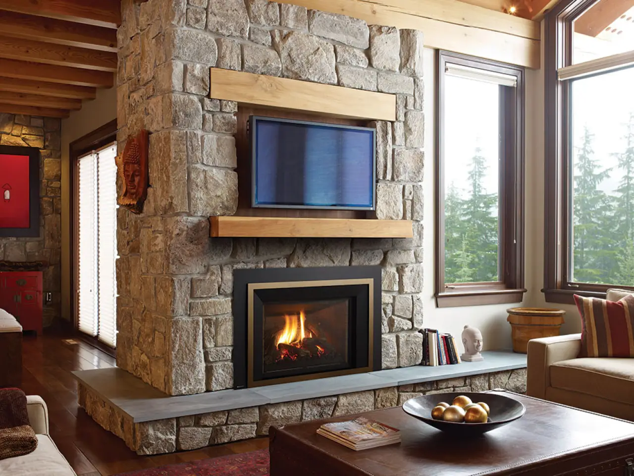 Regency Liberty® LRI6E Gas Insert