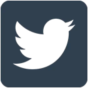 Twitter Logo