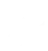 Technology Partners Icon