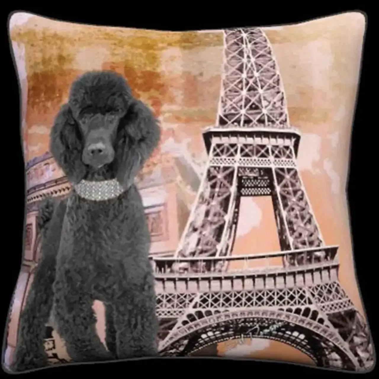 Black Poodle - Paris