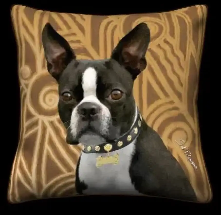Boston Terrier - Tan