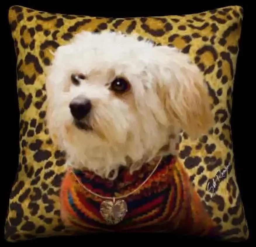Maltipoo