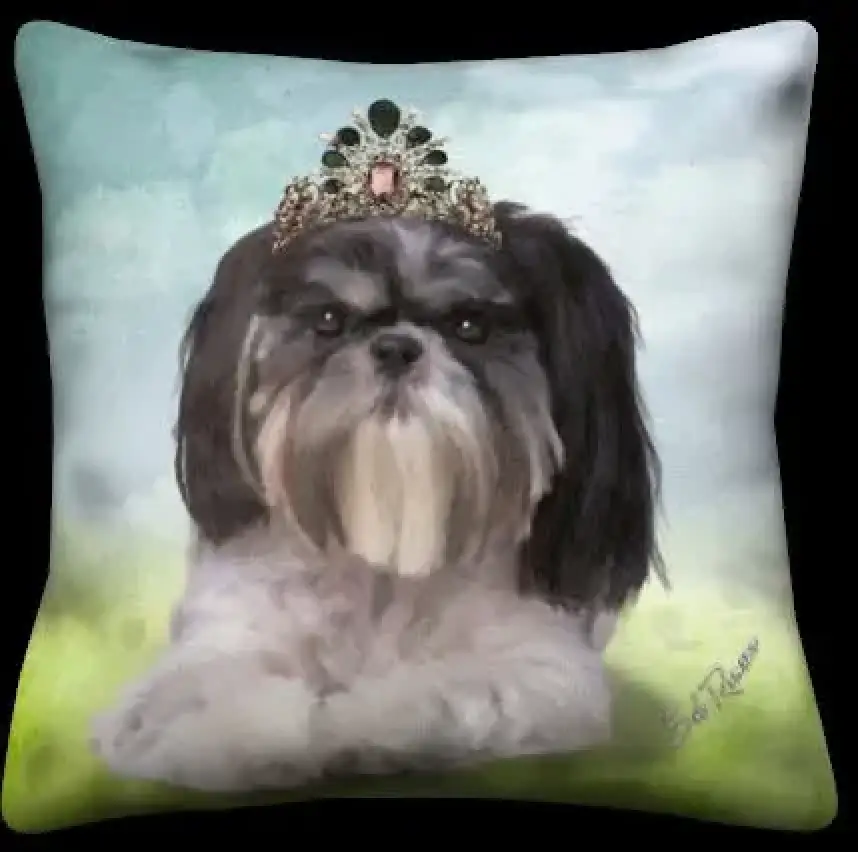 Shih-Tzu - Sky