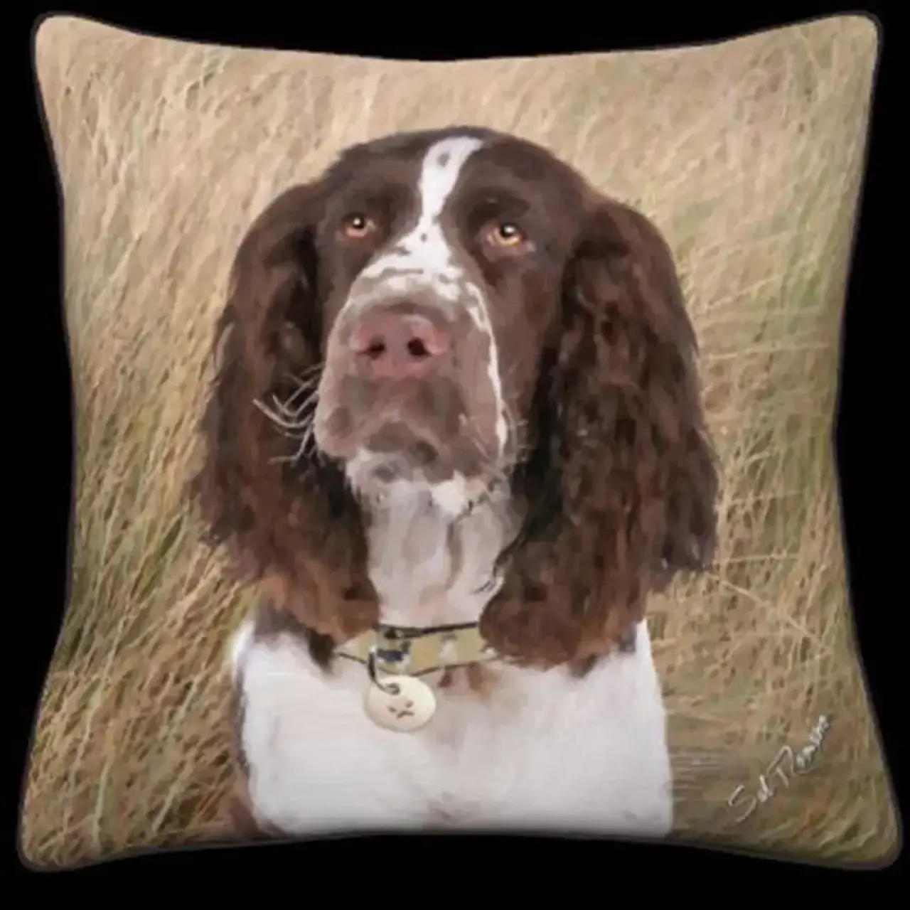 Springer Spaniel