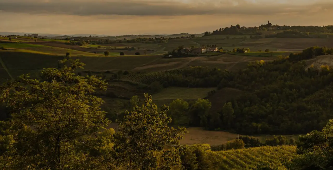 rolling hills with lush greenery under a cloudy sky at sunset