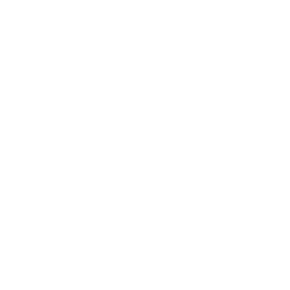 black diamond shaped logo with V8 and a small cross symbol inside