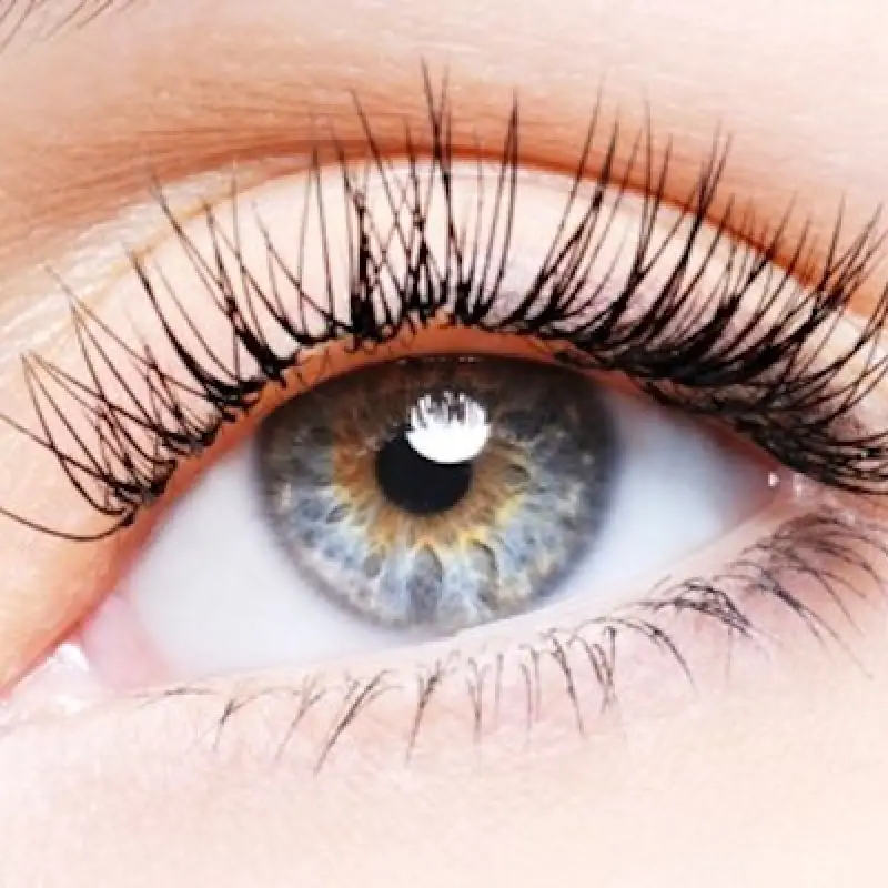 hazel eye with long black eyelashes