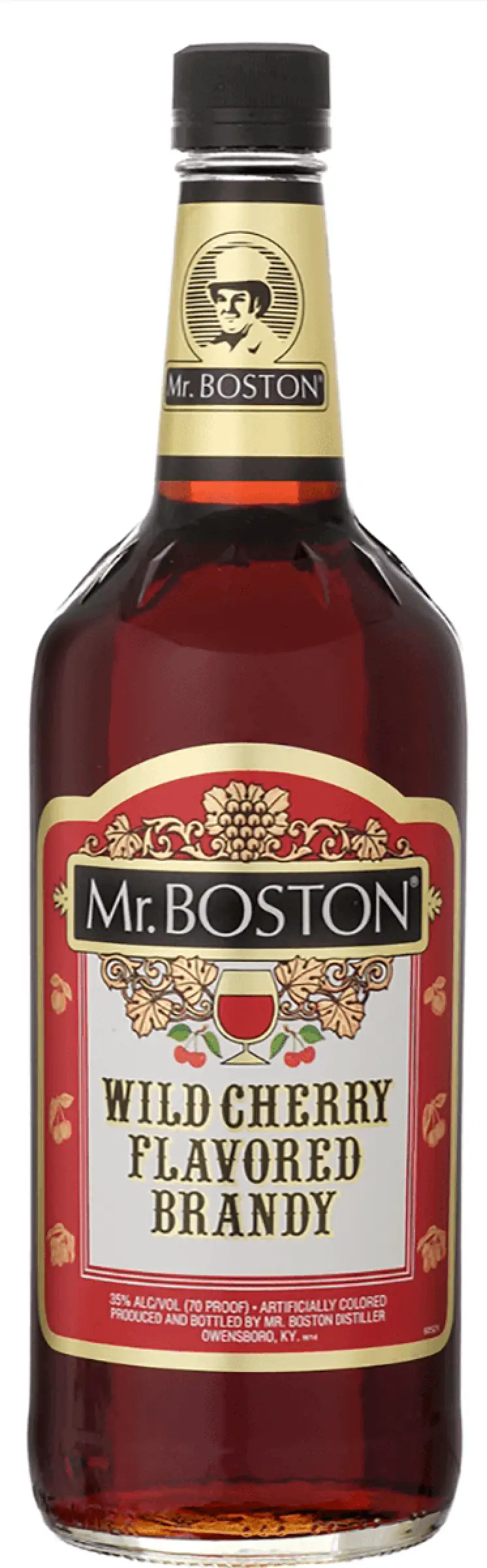 Mr. Boston Cherry Brandy 1L
