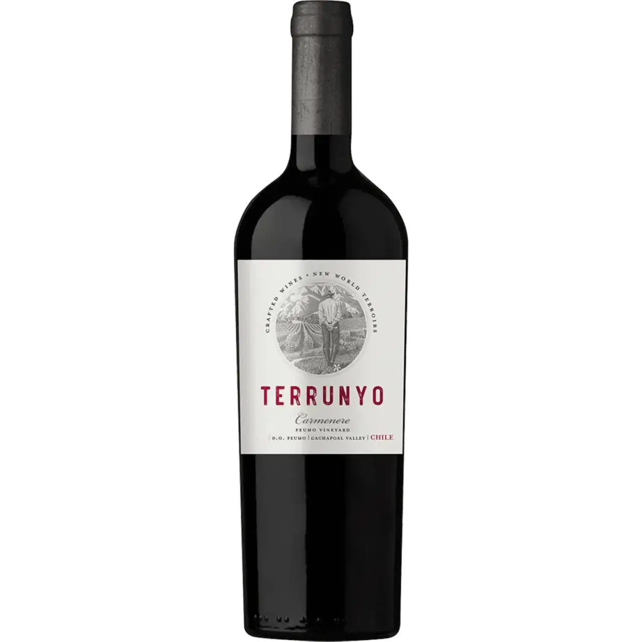 Terrunyo Carmenere 2019 750ml