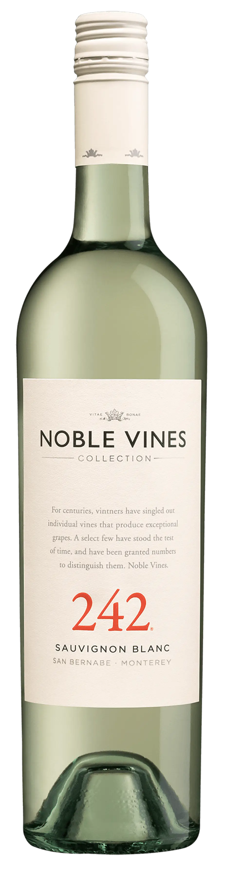 NOBLE VINES 242 SAUVIGNON BLANC 750M