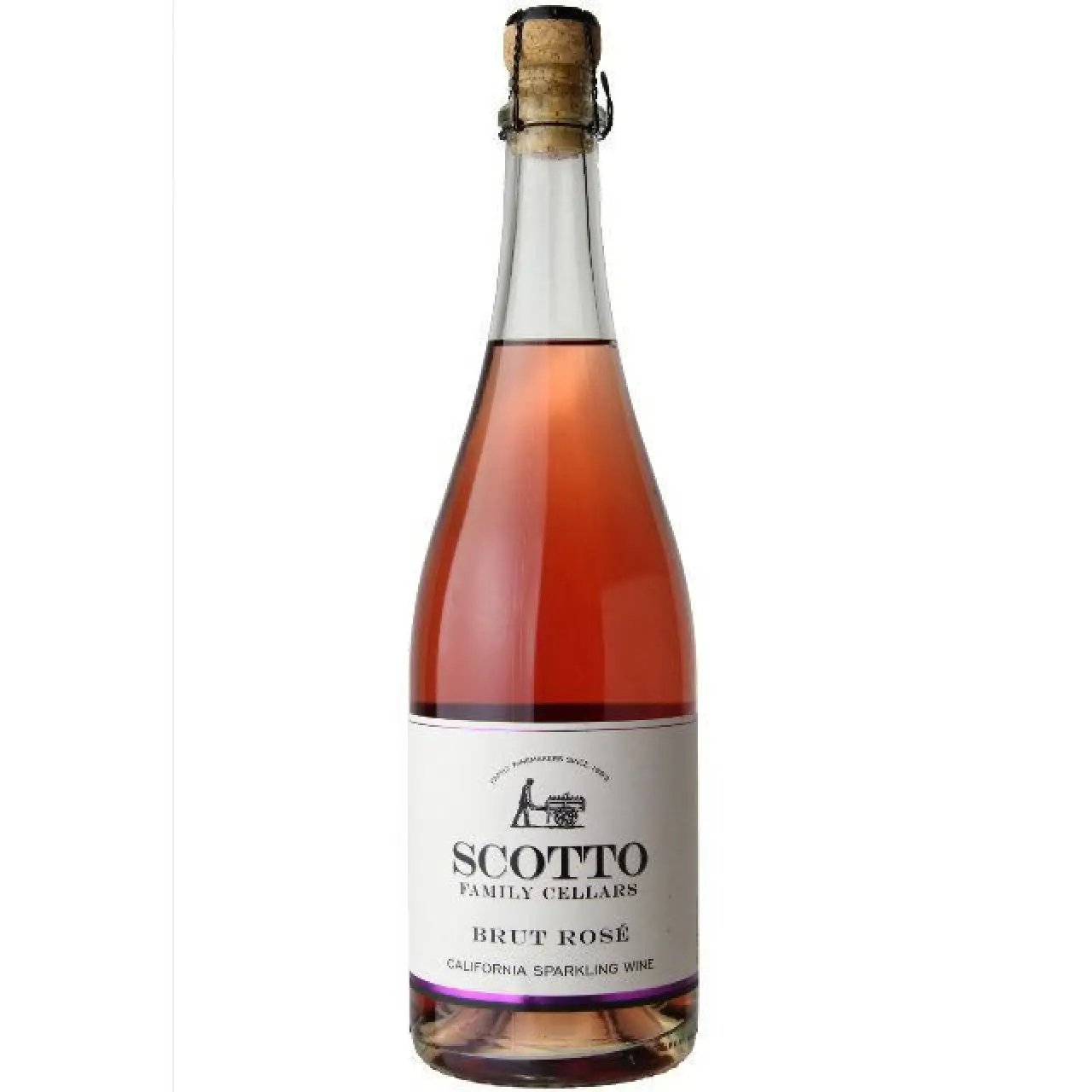 SCOTTO BRUT ROSE 750M