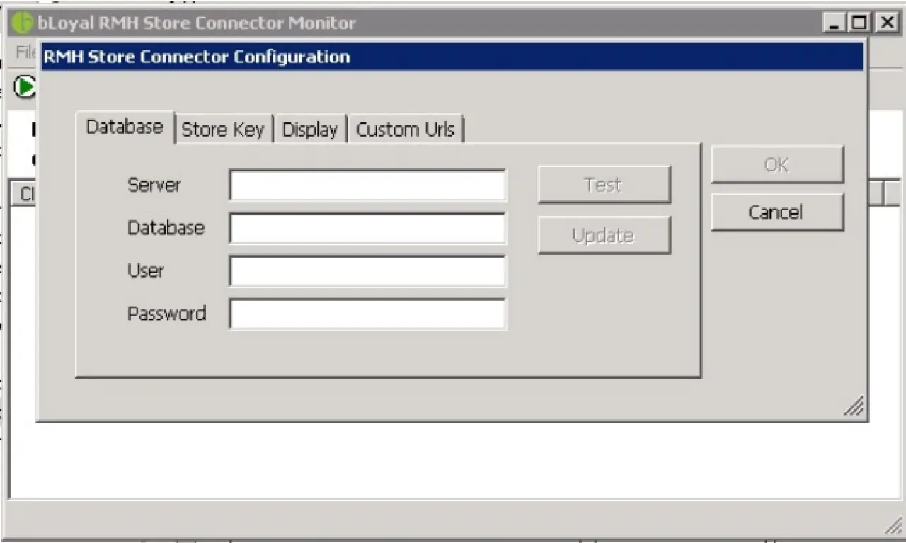 Database tab in RMH Store Connector