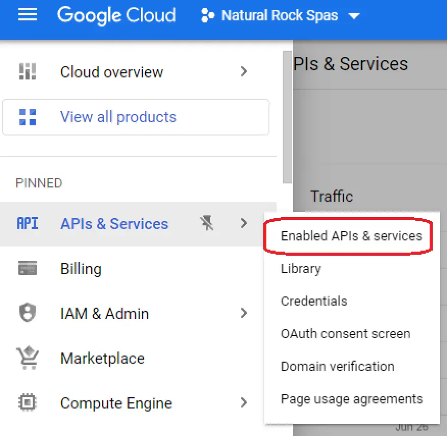 Enable API Google Maps