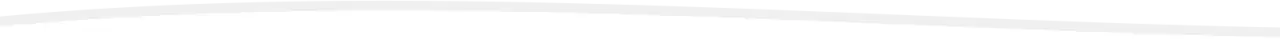 Light gray wavy line on a white background, creating a soft, abstract curved shape.