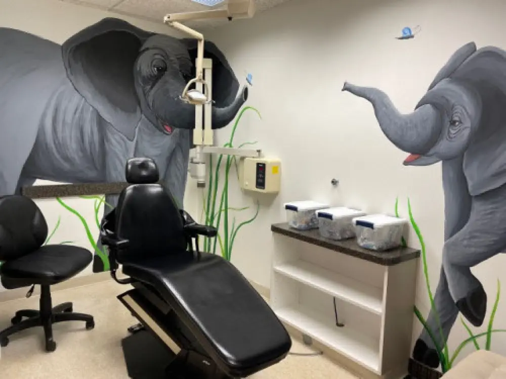 A pediatric dental office with blacks chairs and elephant designs on the walls.