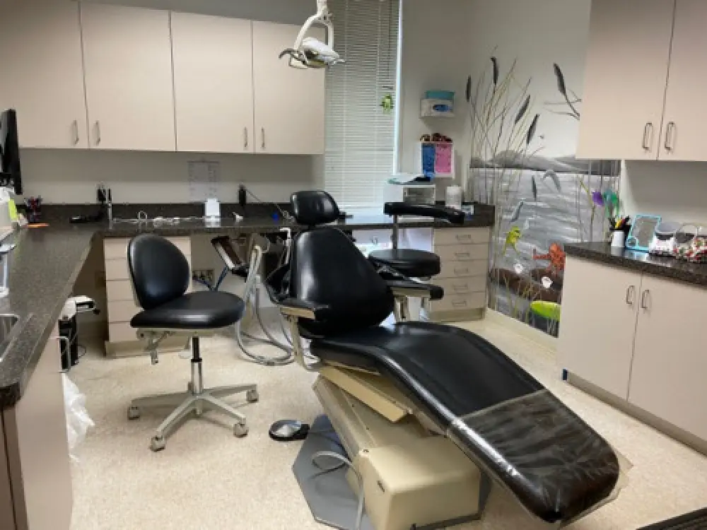 A pediatric dental office with blacks chairs and swamp designs on the walls.