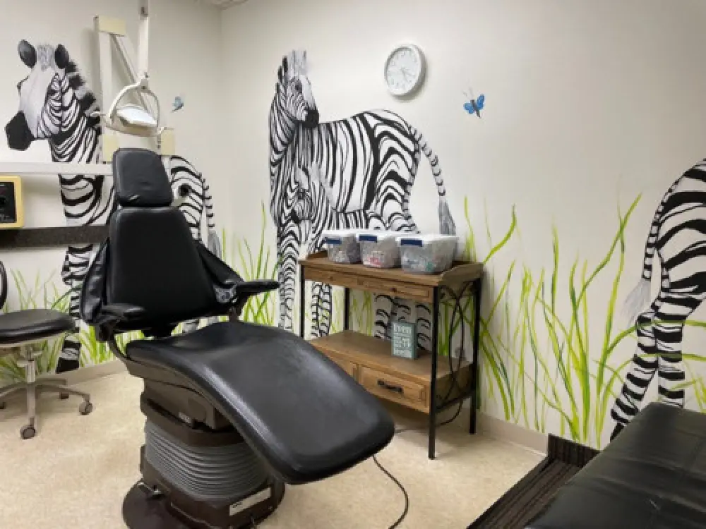A pediatric dental office with blacks chairs and zebra designs on the walls.