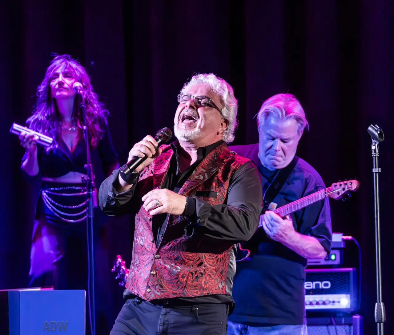 A Bob Seger Tribute Experience ~ Brave Strangers at Tropix in Rochester, NY