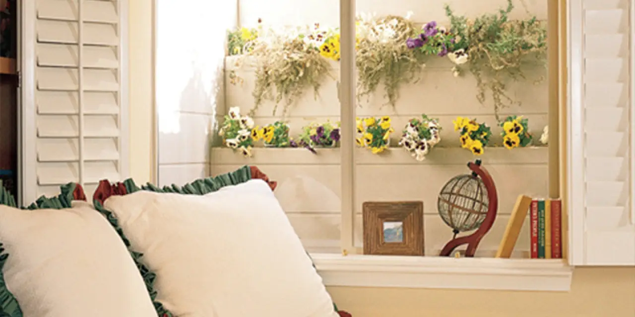 Basement window well with tiered planters and flowers outside.