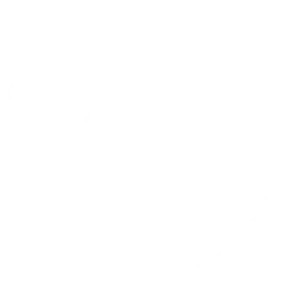 roof icon