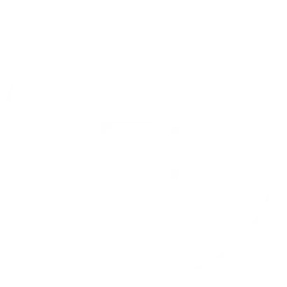 protection icon