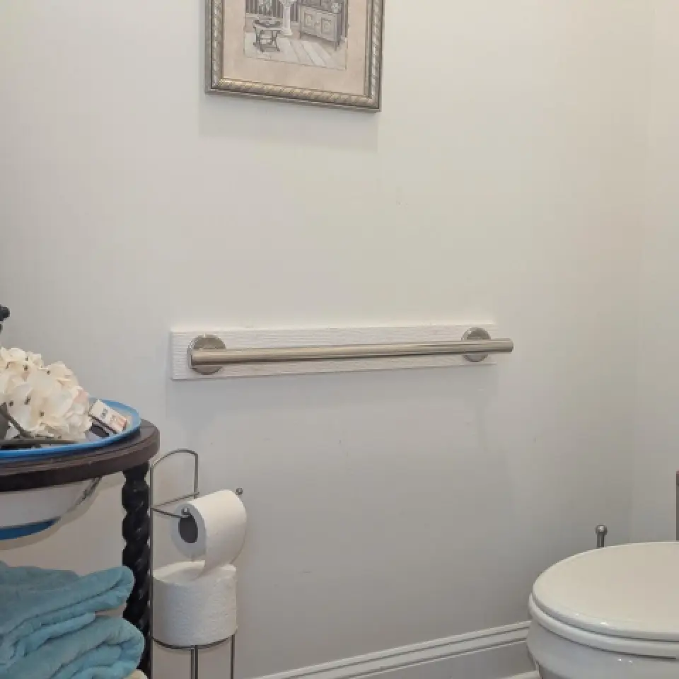 Bathroom Toilet Handrail in Bath, NC
