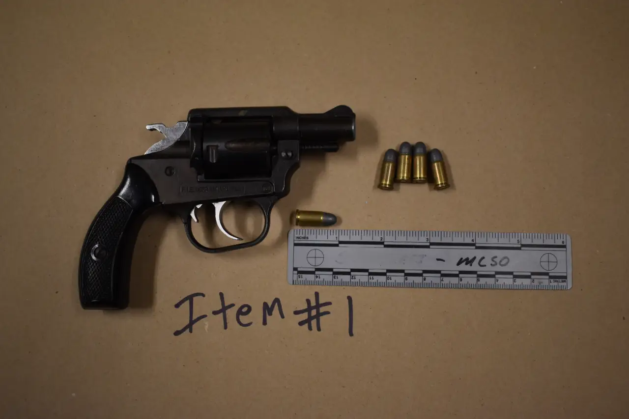 Deputies Seize Another Illegally Possessed Gun