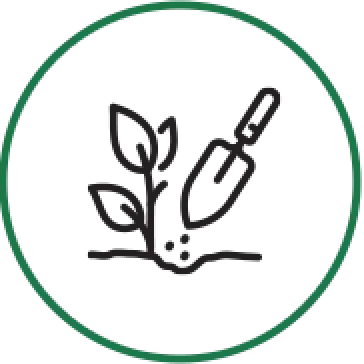 icon-lawn-aeration