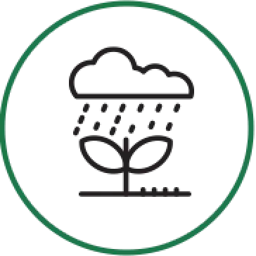 icon-lawn-drainage