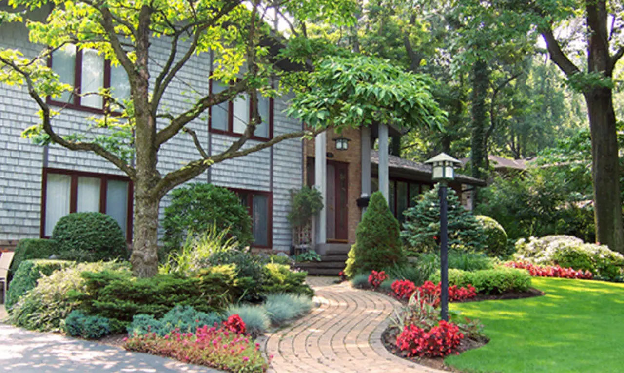 landscape-intro-with-walkway