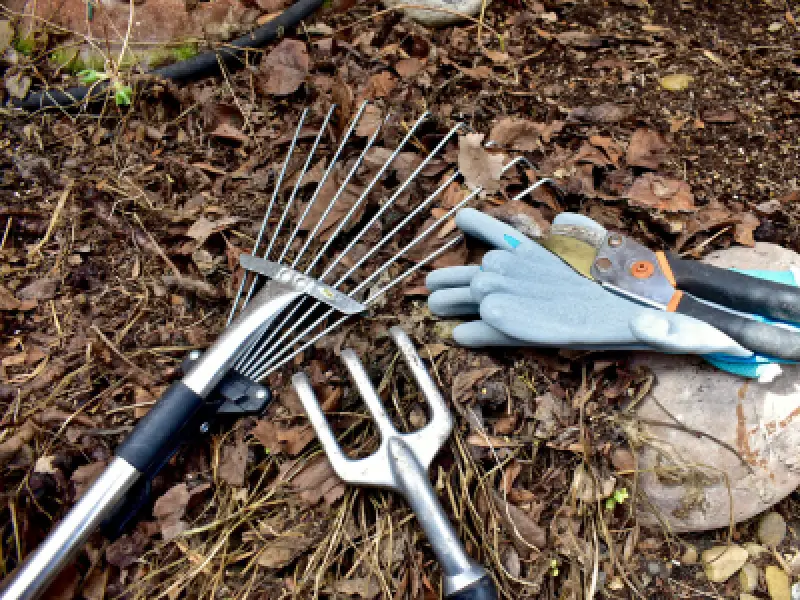 Spring landscape cleanup project
