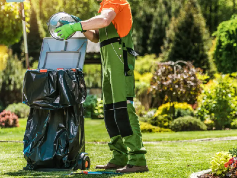 Spring lawn and garden maintenance