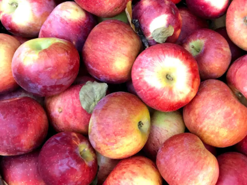 Cortland apples