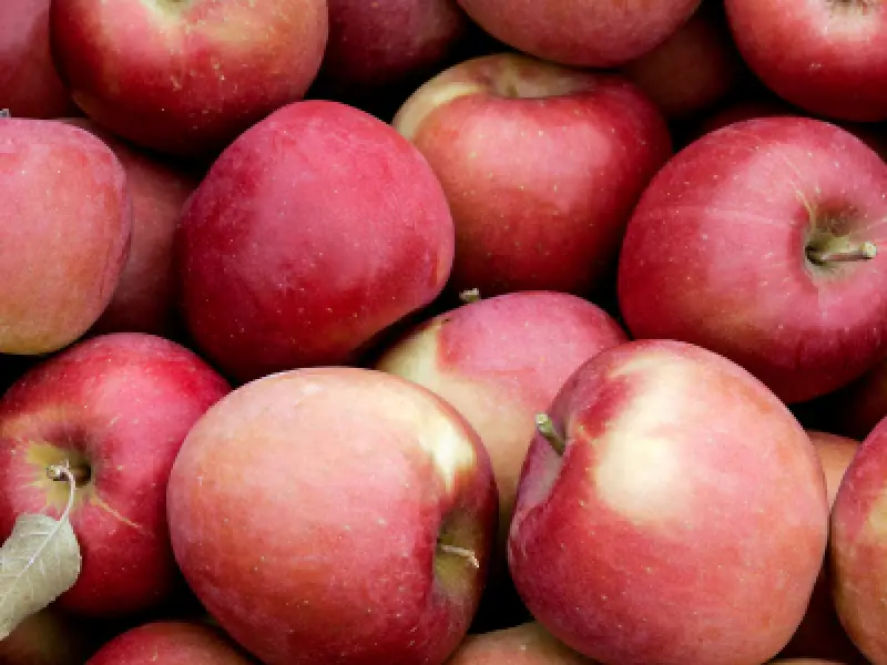 Fuji apples