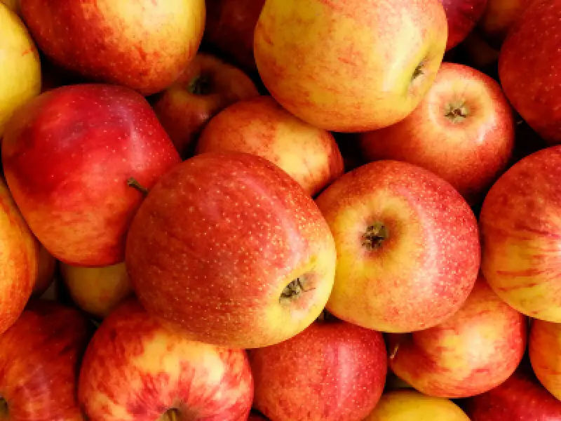 Gala apples