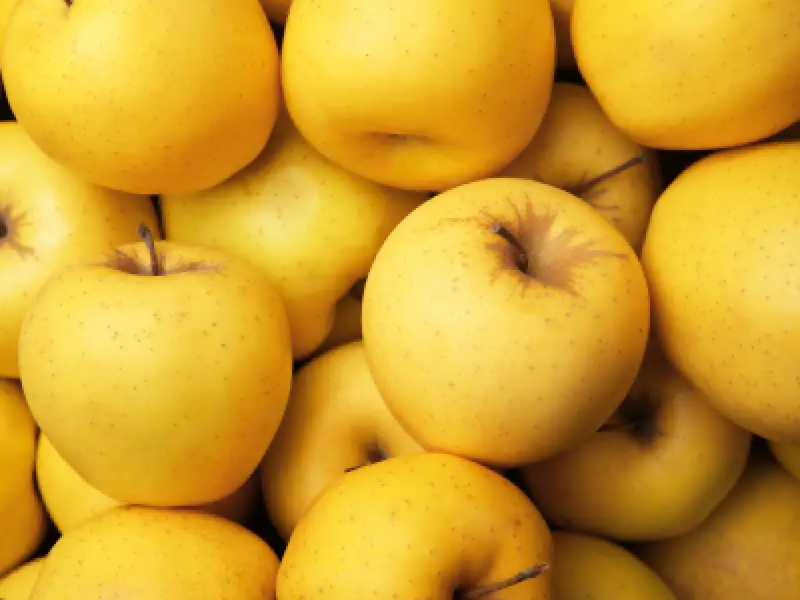 Golden Delicious apples