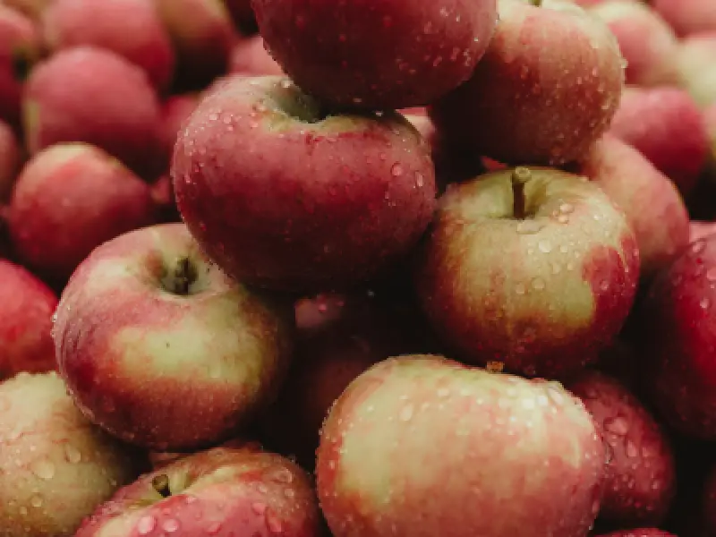McIntosh apples