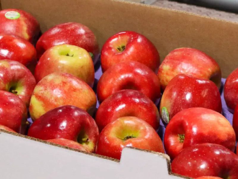SnapDragon apples