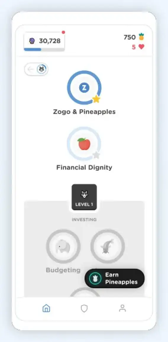 Zogo Image 1
