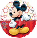 Mickey Portrait HX