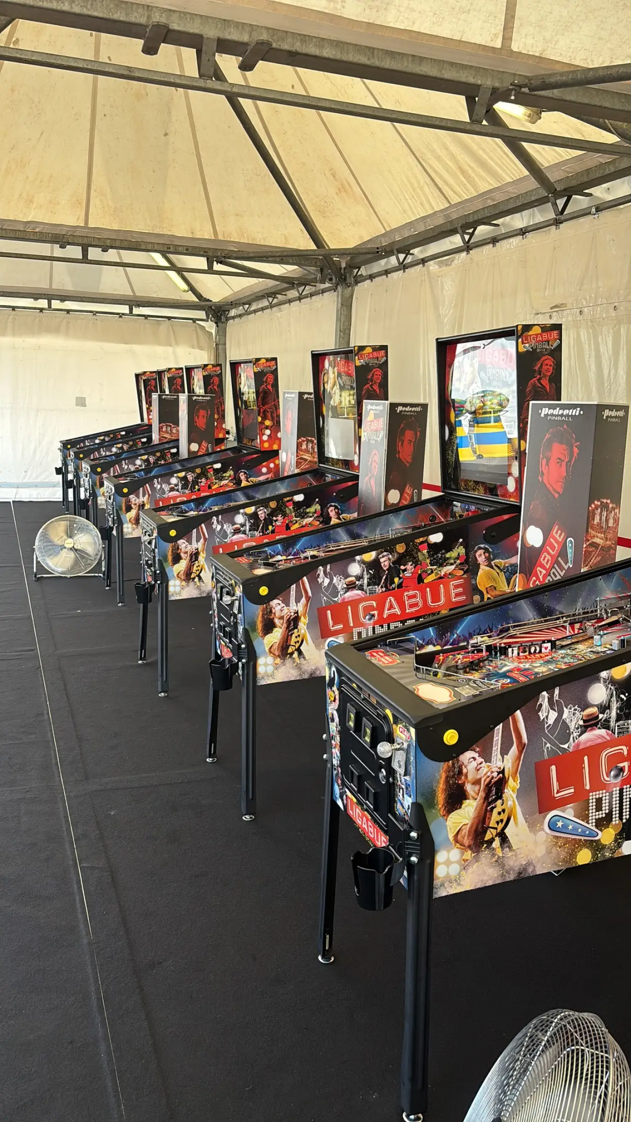 Ligabue Pinball by Pedretti Gaming