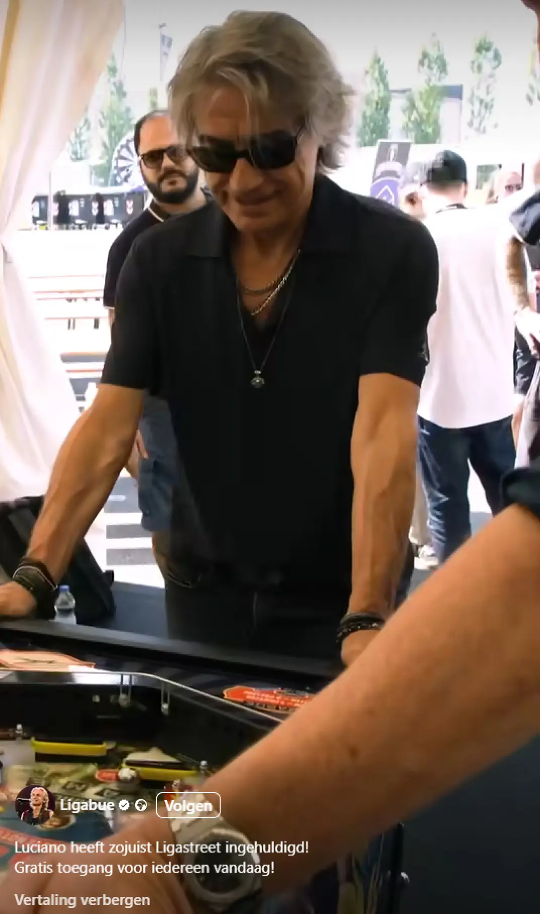 Ligabue Pinball official cabinet or playfield detail 4