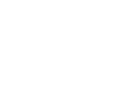 Southern-Fried Gaming Expo official logo