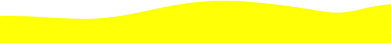 Decorative yellow wave divider.