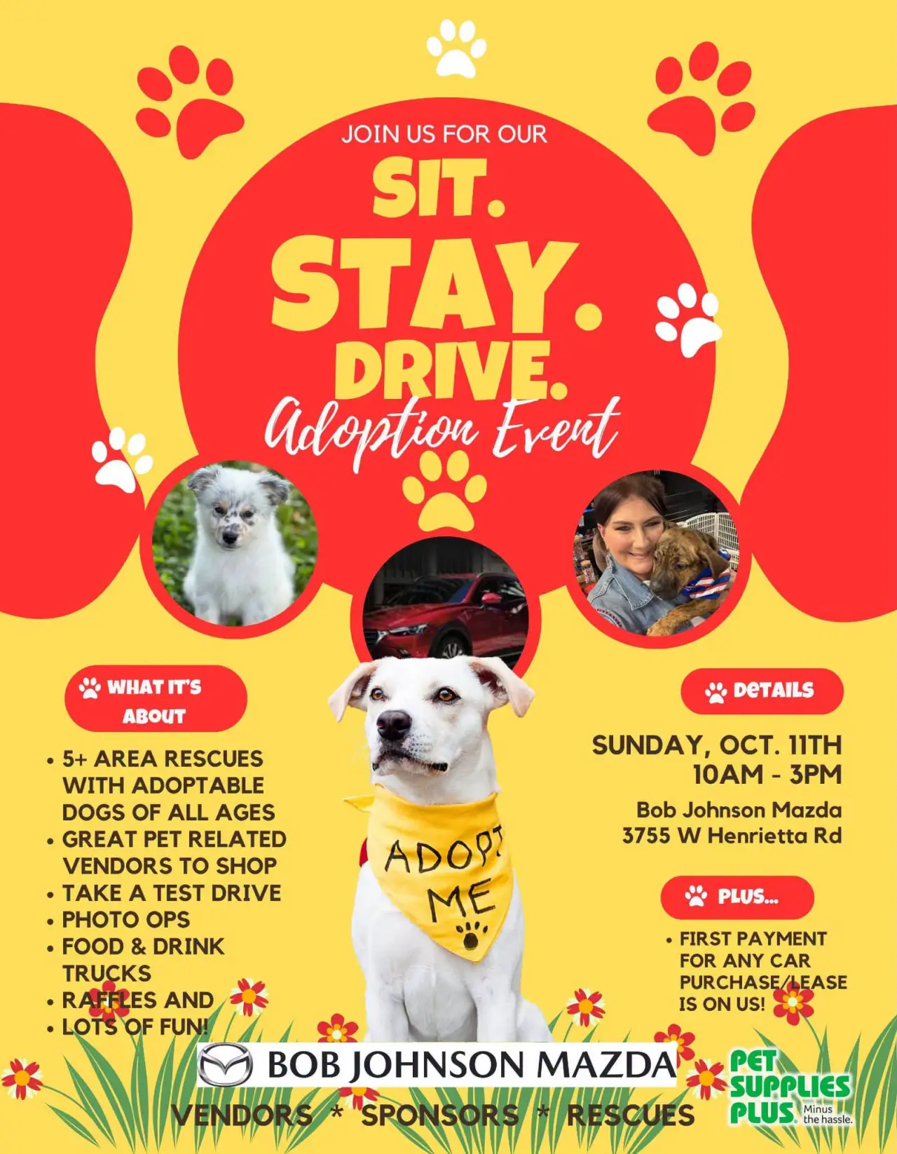 Sit. Stay. Drive Adoption Event