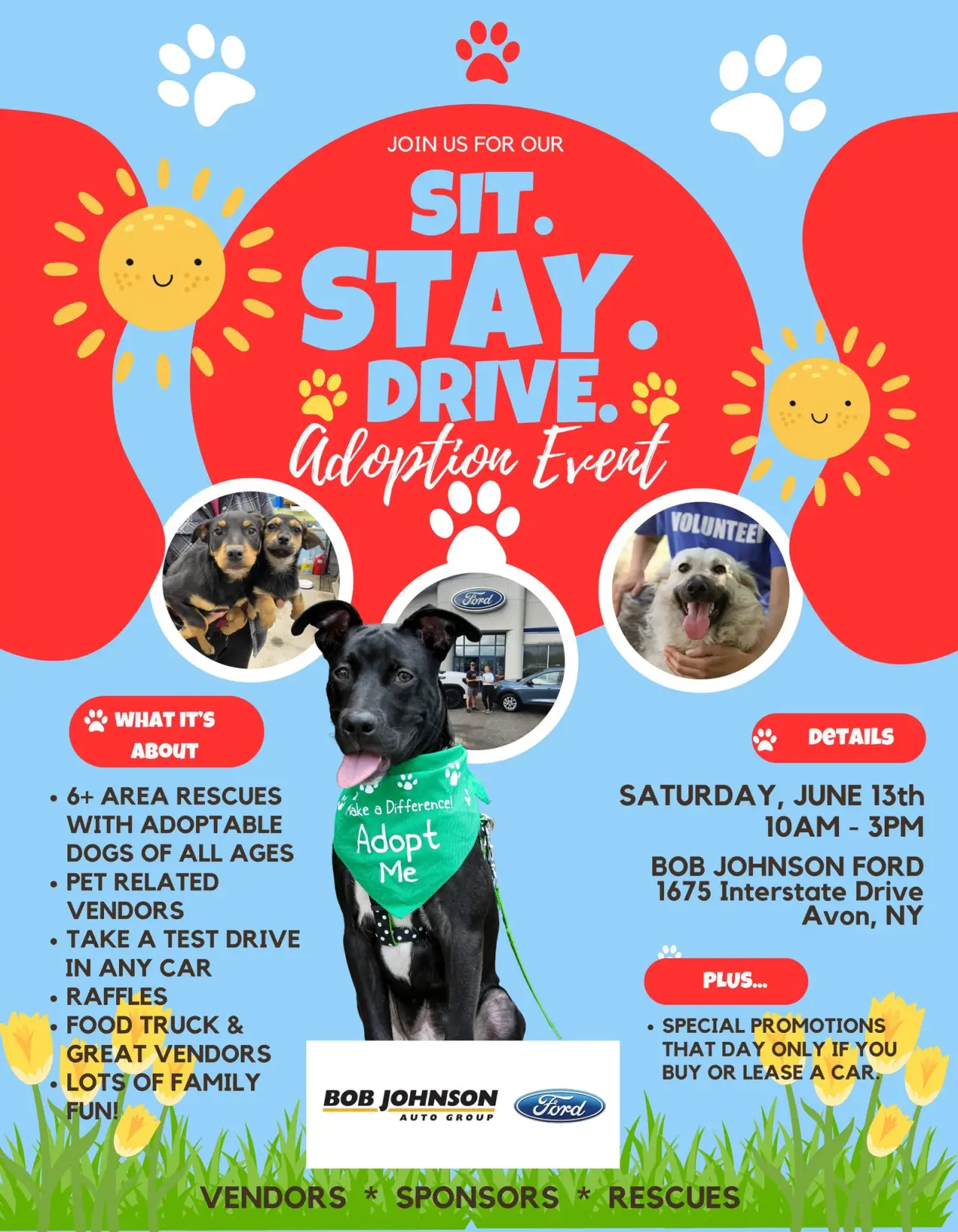 Sit Stay Drive Adoption Event