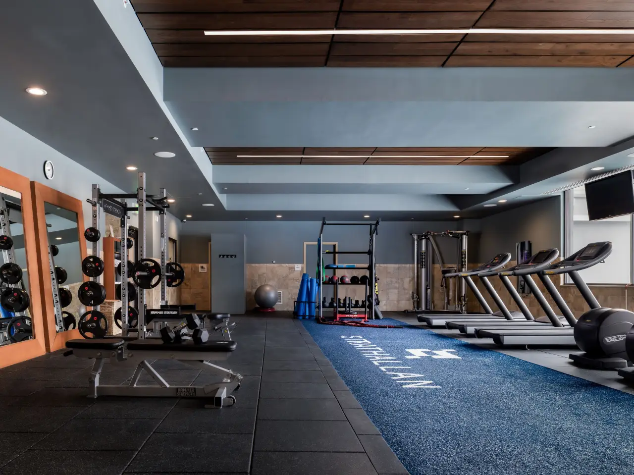 Professional Gym