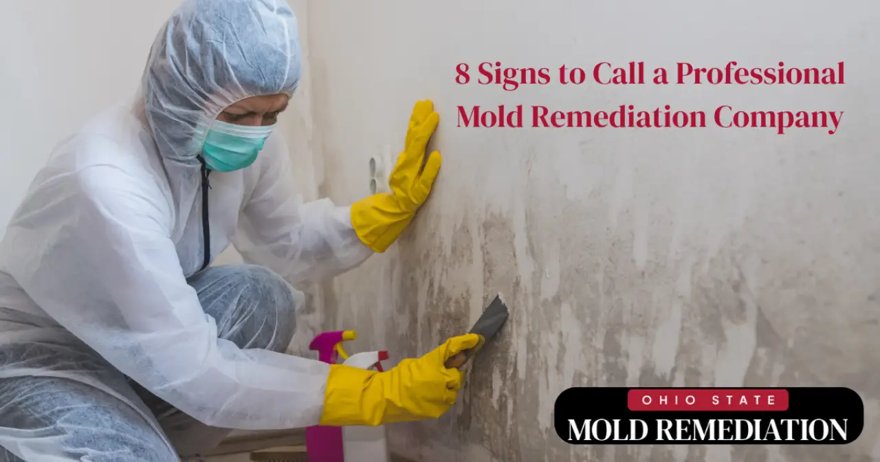 8 Signs to Call a Professional Mold Remediation Company