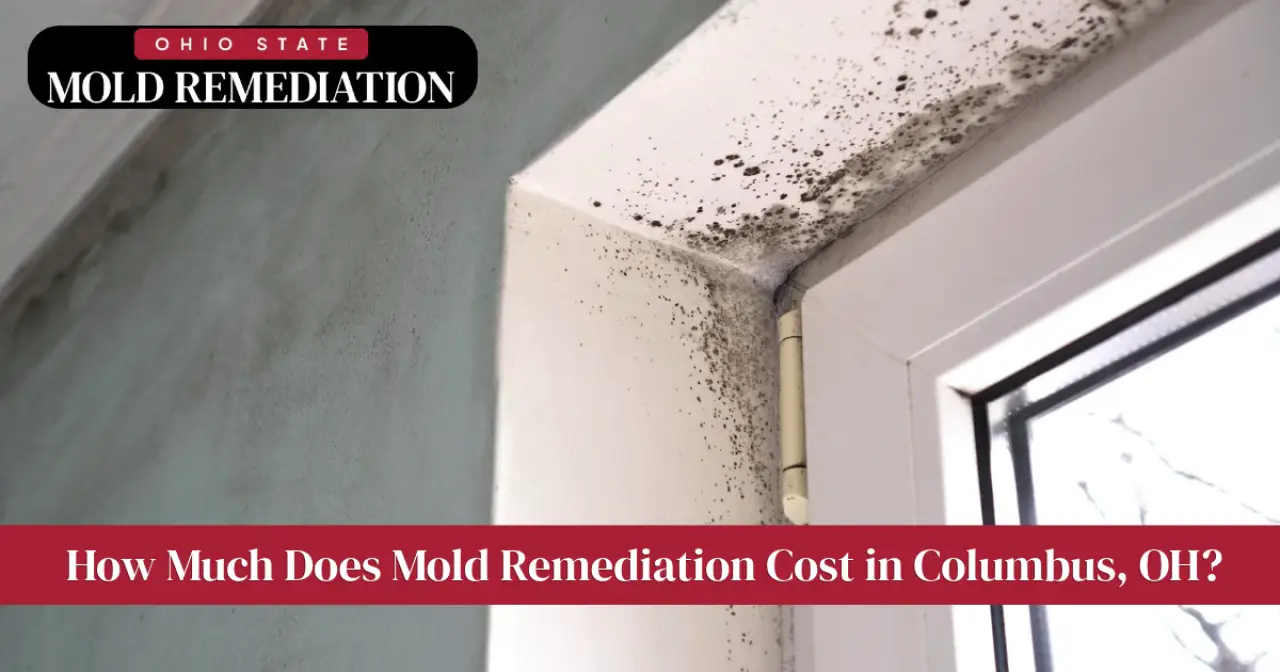 Mold growing on a wall corner near a window, with Ohio State Mold Remediation branding.