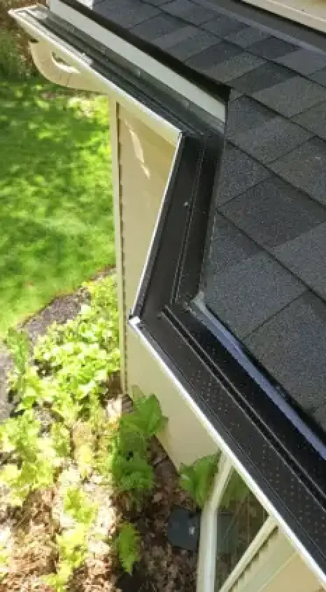 Close-up of a black gutter guard system running along the edge of an asphalt shingle roof